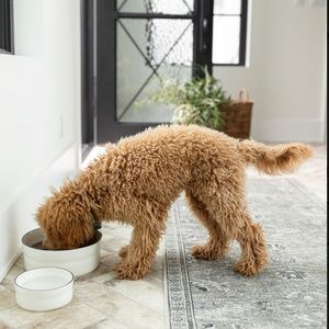 NWT BUNDLE OF 2 CREATIVE CO-OP 6” STONEWARE PET BOWLS❤️❤️❤️❤️